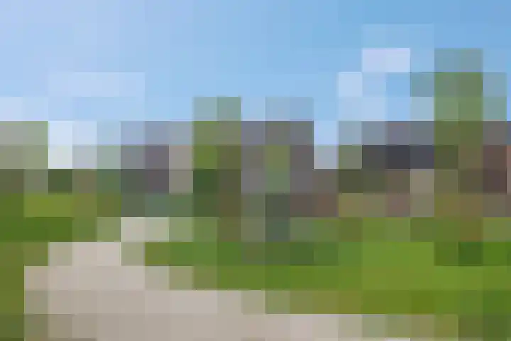 Steven Peltplantsoen 6 Veenendaal thumbnail 56