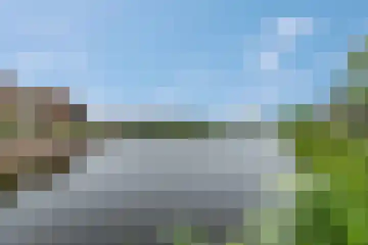 Steven Peltplantsoen 6 Veenendaal thumbnail 57