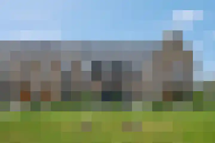 Steven Peltplantsoen 6 Veenendaal thumbnail 64