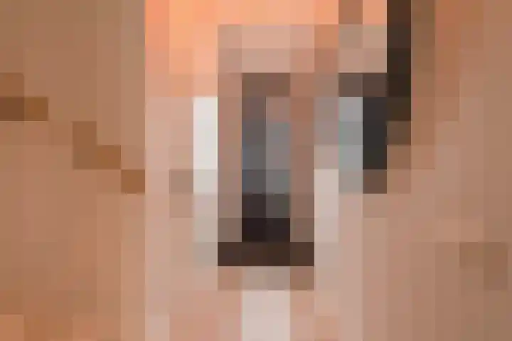 Steven van Beusichemlaan 19 Culemborg thumbnail 17