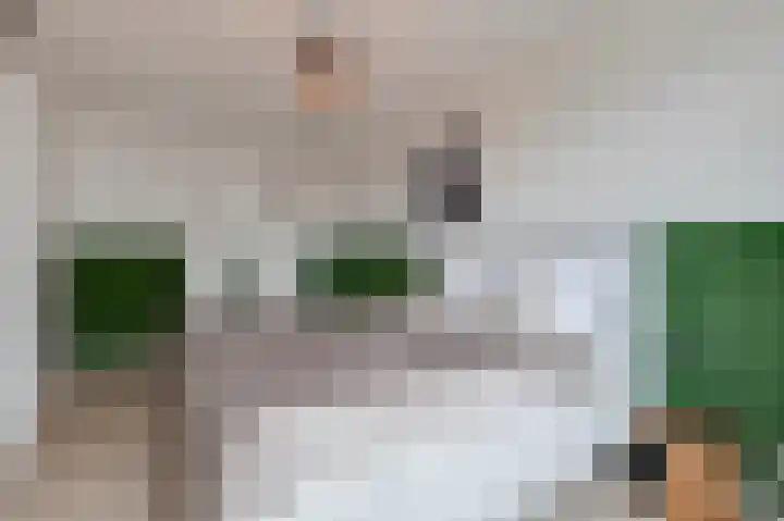 Steven van Beusichemlaan 19 Culemborg thumbnail 20