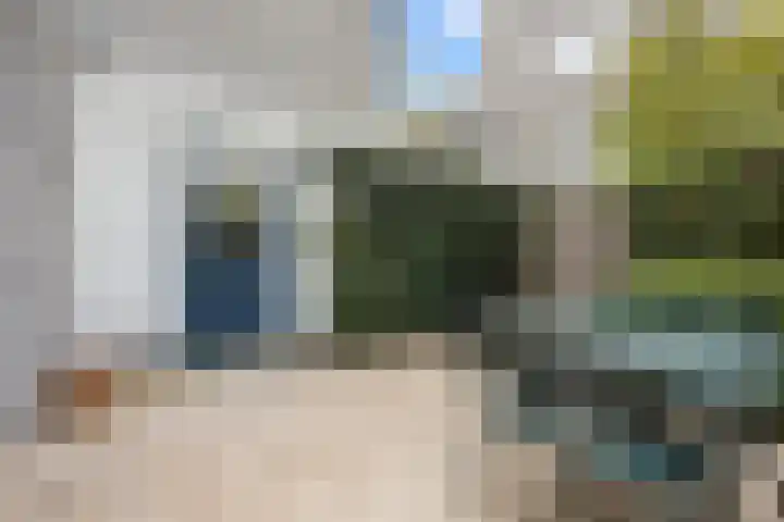 Steven van Dorpelpad 33 Amsterdam thumbnail 10
