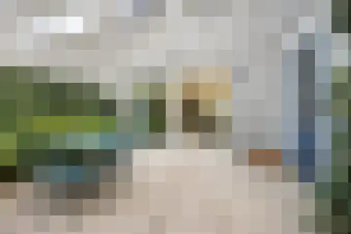 Steven van Dorpelpad 33 Amsterdam thumbnail 11