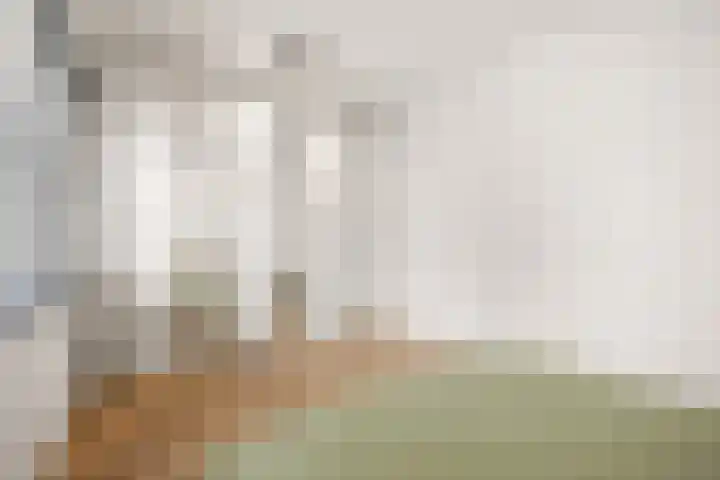 Steven van Dorpelpad 33 Amsterdam thumbnail 20