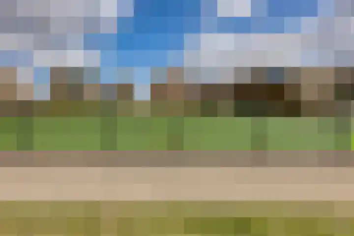 Steven van Dorpelpad 33 Amsterdam thumbnail 46