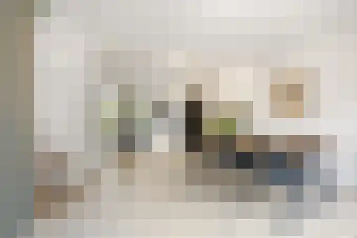 Steven van Dorpelpad 33 Amsterdam thumbnail 6