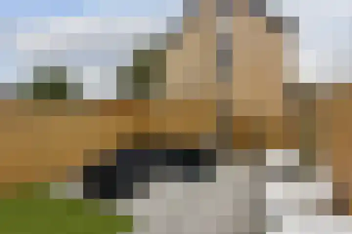 Steven van Rumelaerstraat 23 Mijdrecht thumbnail 24