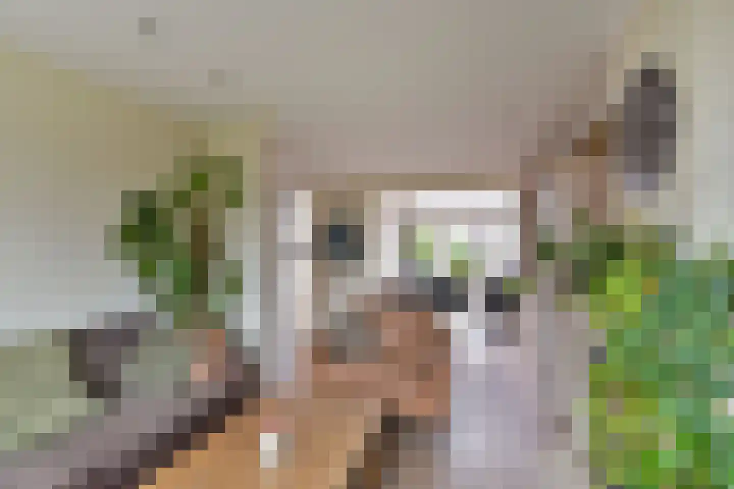 Steven van Rumelaerstraat 29 Mijdrecht thumbnail 5