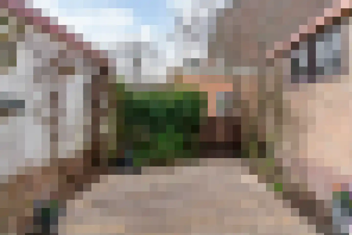 Steven van Rumelaerstraat 46 Mijdrecht thumbnail 31