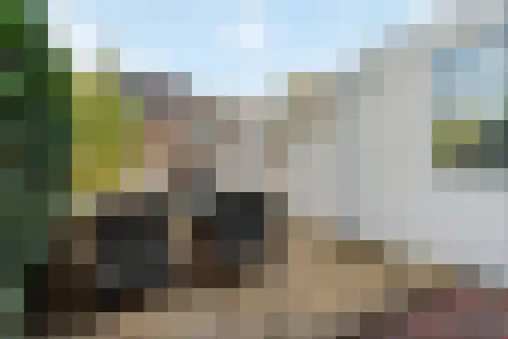 Steven van Rumelaerstraat 61 Mijdrecht thumbnail 32