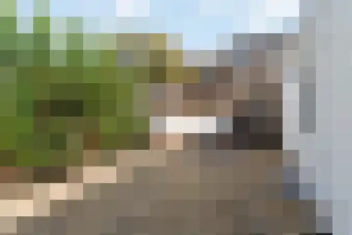Steven van Rumelaerstraat 61 Mijdrecht thumbnail 33