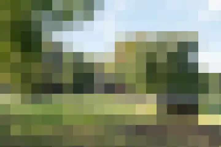 Steven van Rumelaerstraat 61 Mijdrecht thumbnail 36