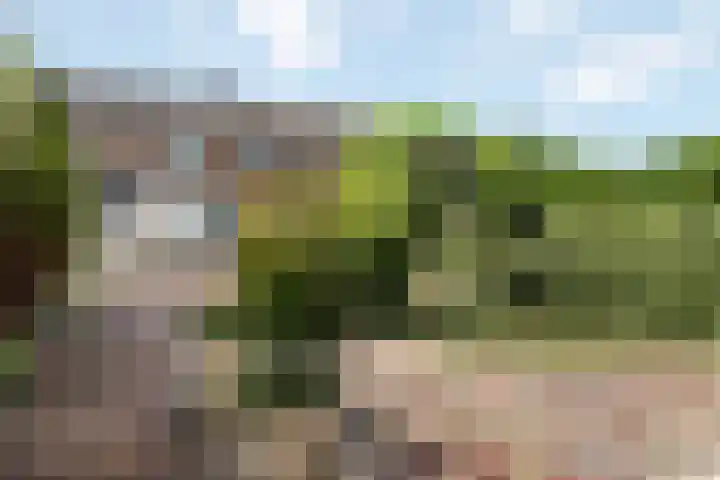 Steven van Rumelaerstraat 61 Mijdrecht thumbnail 5