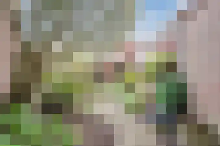 Steven van Rumelaerstraat 65 Mijdrecht thumbnail 30