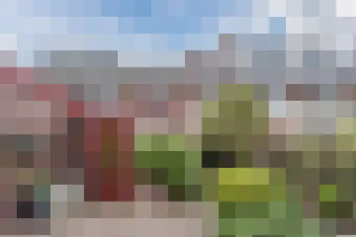 Steven van Rumelaerstraat 65 Mijdrecht thumbnail 32