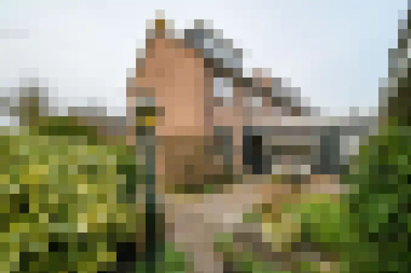 Steven van Rumelaerstraat 67 Mijdrecht thumbnail 30