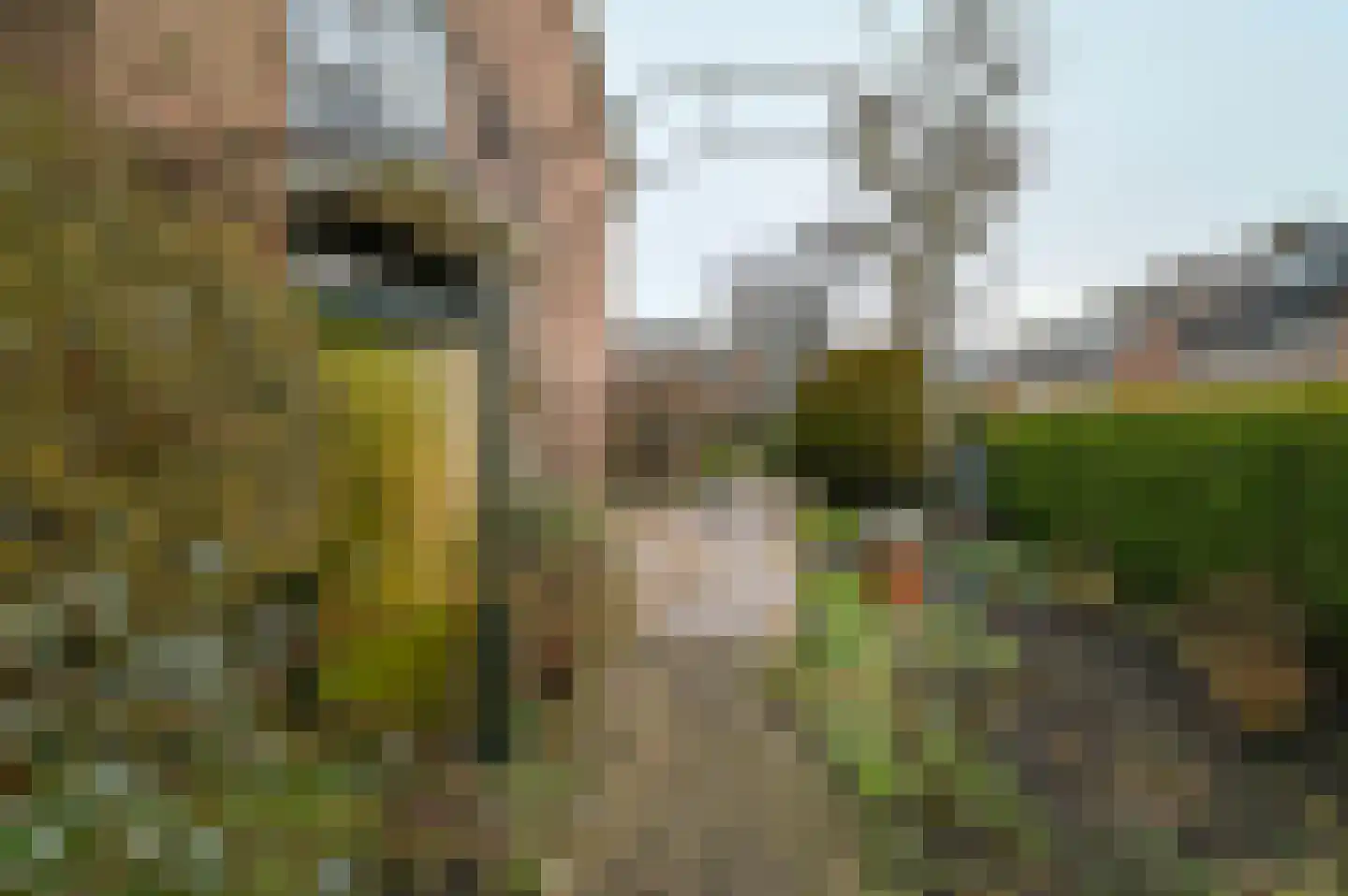 Steven van Rumelaerstraat 67 Mijdrecht thumbnail 36