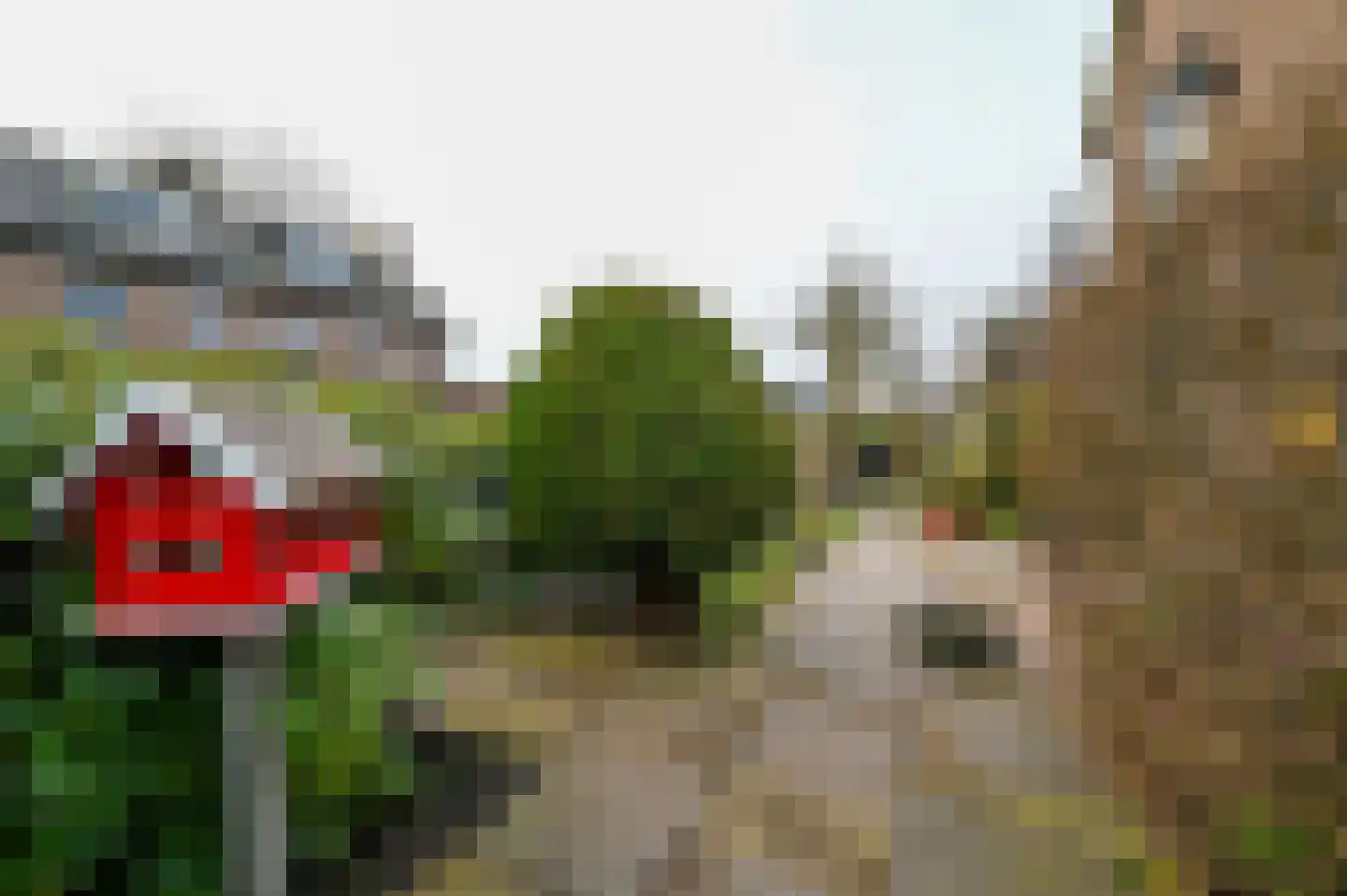 Steven van Rumelaerstraat 67 Mijdrecht thumbnail 37