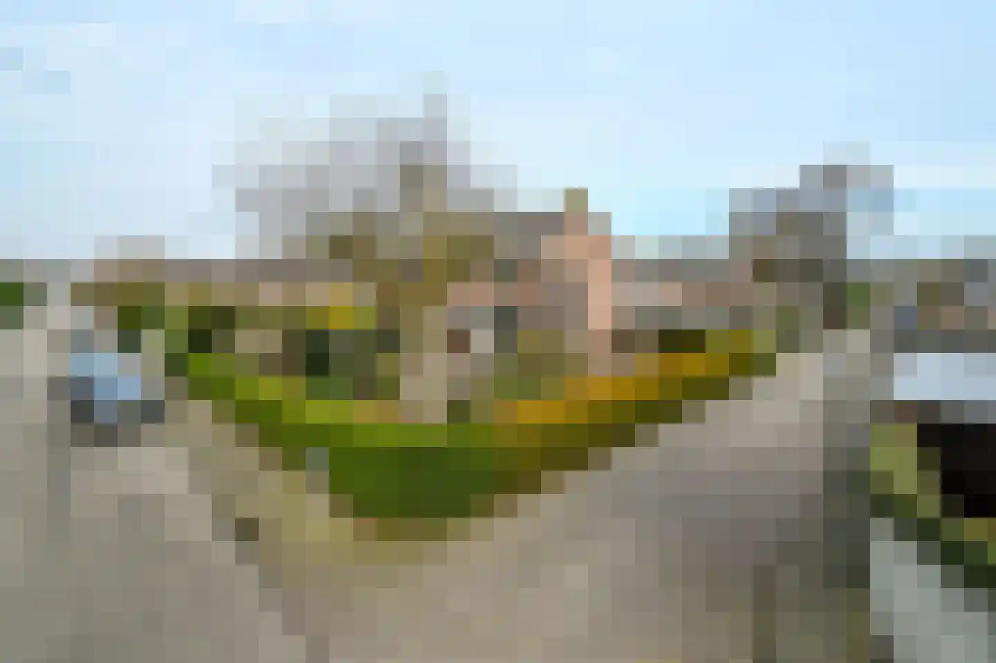 Steven van Rumelaerstraat 67 Mijdrecht thumbnail 41