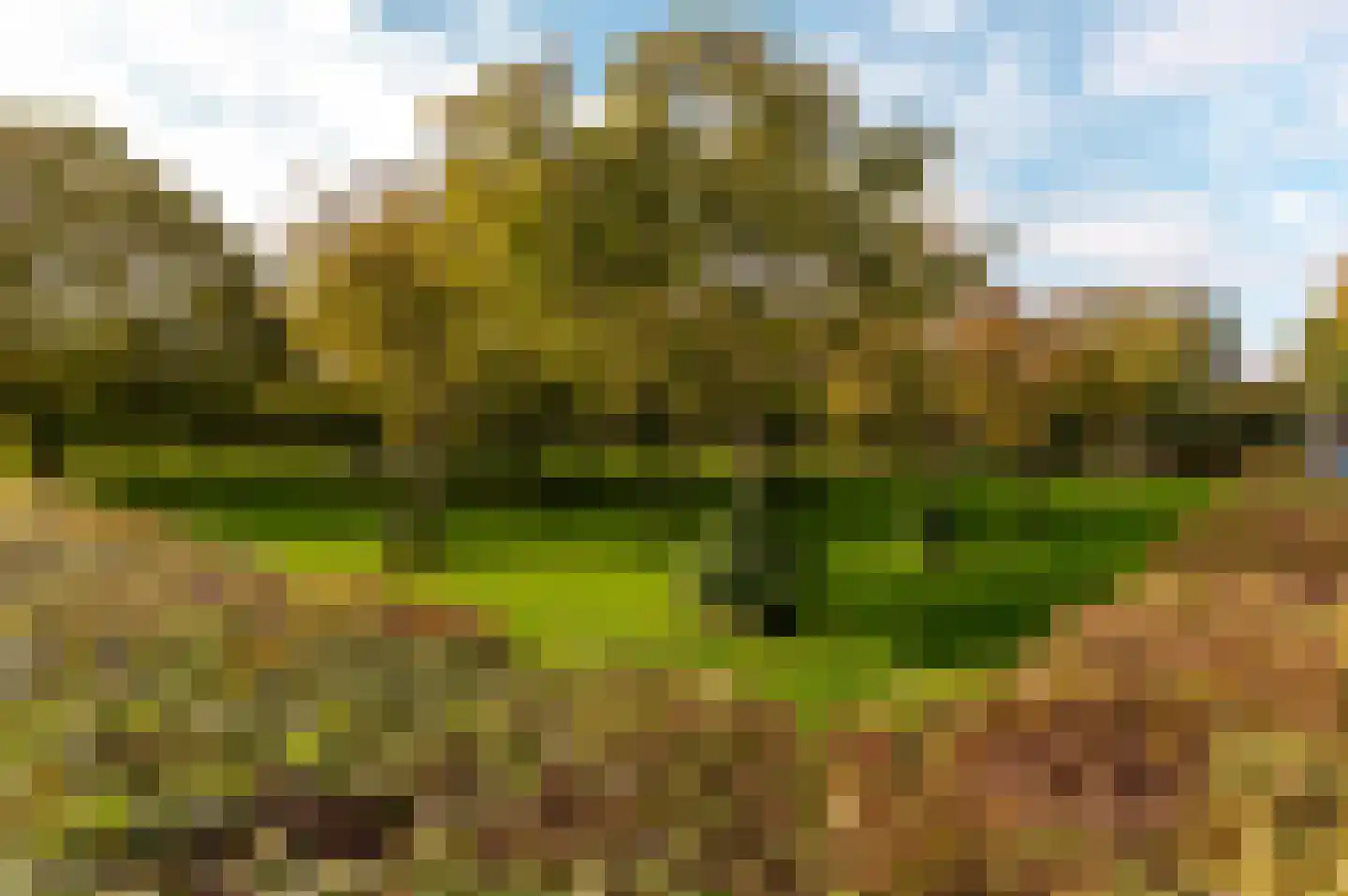 Steven Vennecoolstraat 40 Almere thumbnail 36