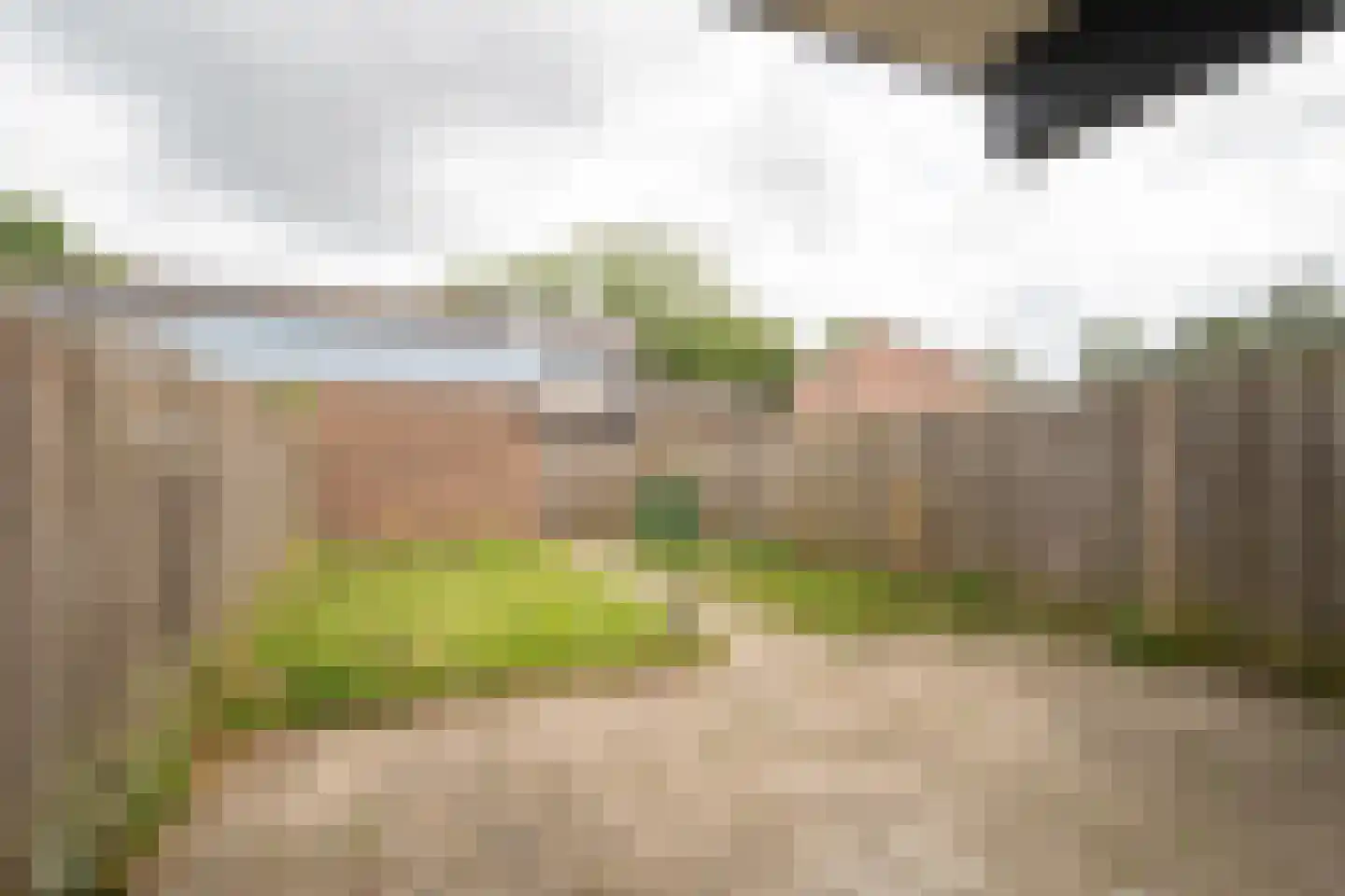 Stevenaak 13 Veenendaal thumbnail 19