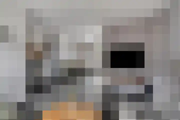 Stevenaak 24 Veenendaal thumbnail 10