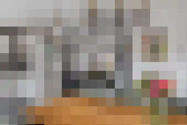 Stevenaak 24 Veenendaal thumbnail 12