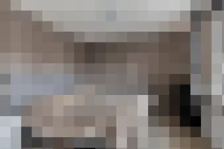 Stevenaak 24 Veenendaal thumbnail 15