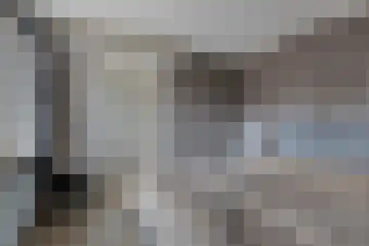 Stevenaak 24 Veenendaal thumbnail 16