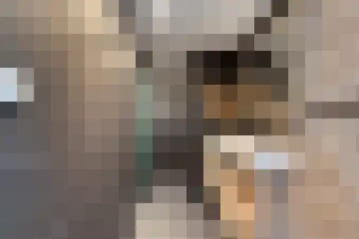 Stevenaak 24 Veenendaal thumbnail 22