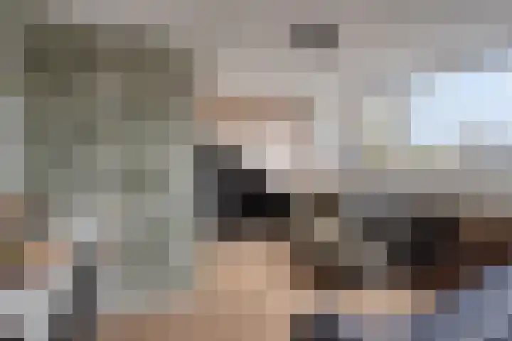 Stevenaak 24 Veenendaal thumbnail 25