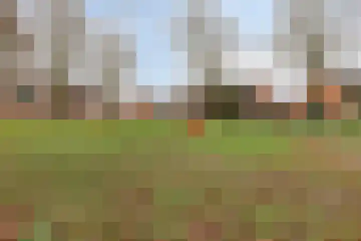 Stevenaak 24 Veenendaal thumbnail 31