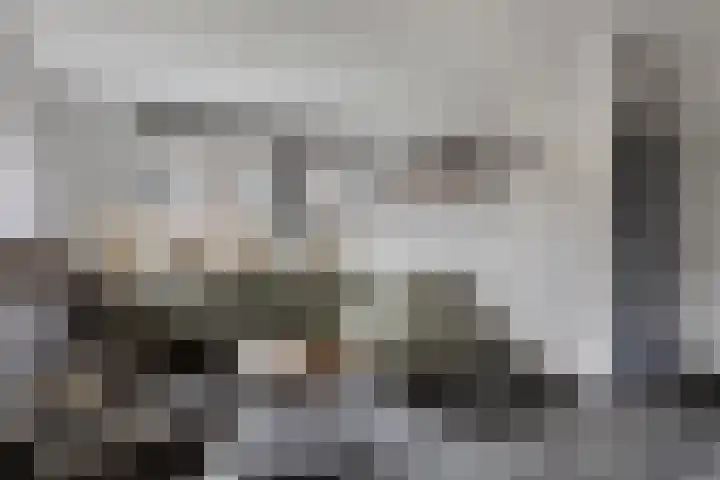 Stevenaak 24 Veenendaal thumbnail 9