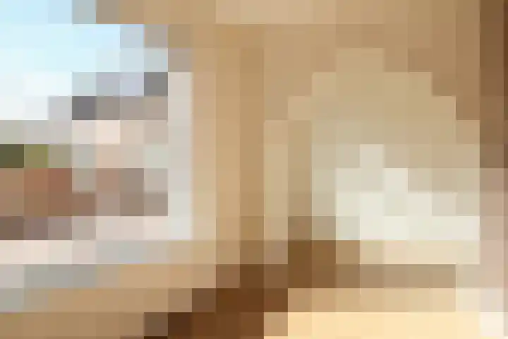 Stevenshoek 2 Langweer thumbnail 10