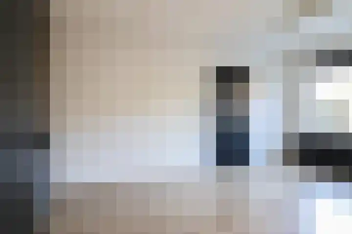 Stevenshoek 2 Langweer thumbnail 14