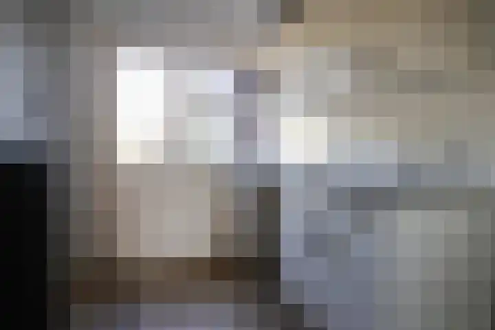 Stevenshoek 2 Langweer thumbnail 18