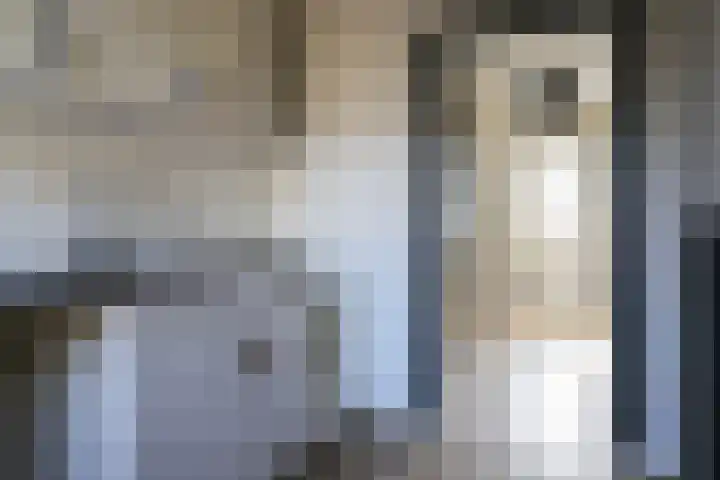 Stevenshoek 2 Langweer thumbnail 19
