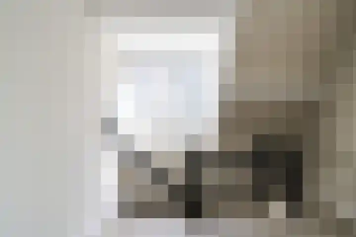 Stevenshoek 2 Langweer thumbnail 22