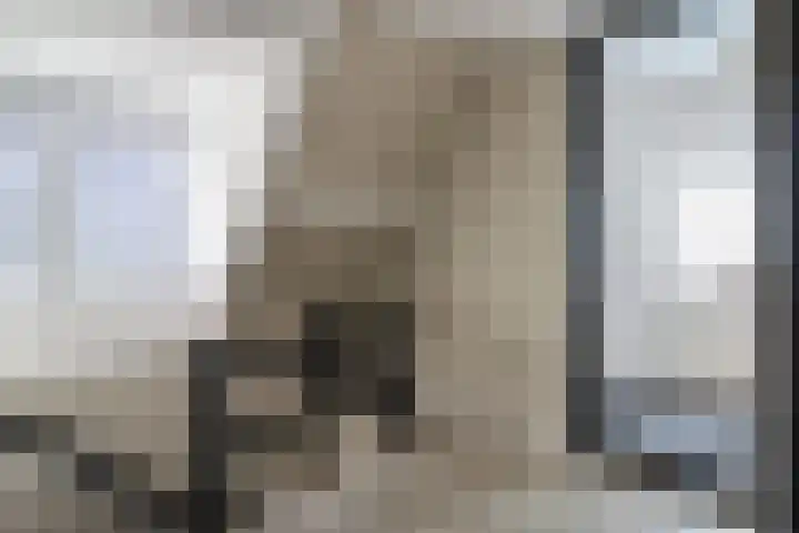 Stevenshoek 2 Langweer thumbnail 23