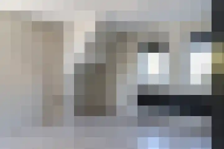 Stevenshoek 2 Langweer thumbnail 29