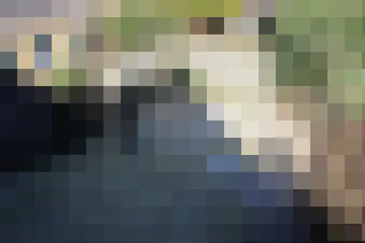 Stevenshoek 2 Langweer thumbnail 32