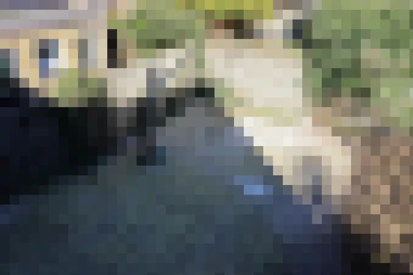 Stevenshoek 2 Langweer thumbnail 32