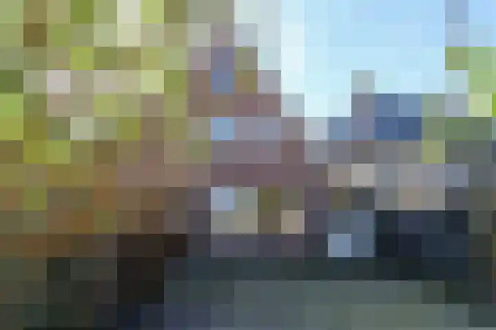 Stevenshoek 2 Langweer thumbnail 36
