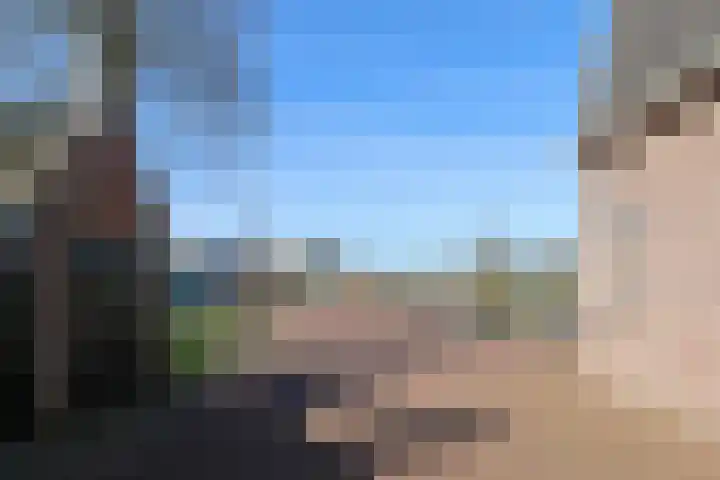 Stevenshoek 2 Langweer thumbnail 38