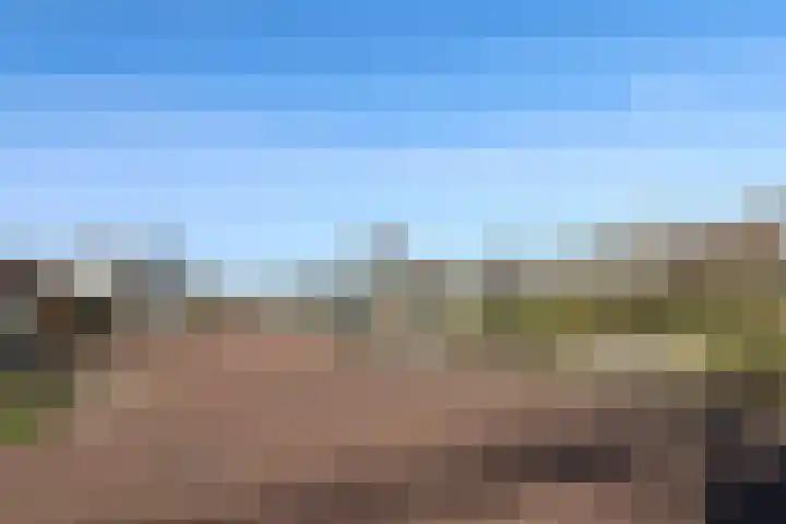 Stevenshoek 2 Langweer thumbnail 39
