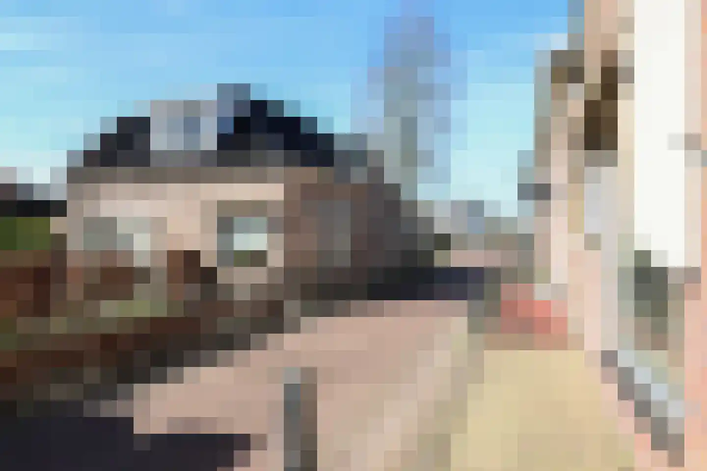 Stevenshoek 2 Langweer thumbnail 6