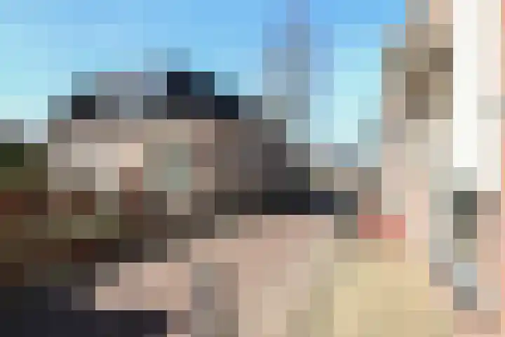 Stevenshoek 2 Langweer thumbnail 6