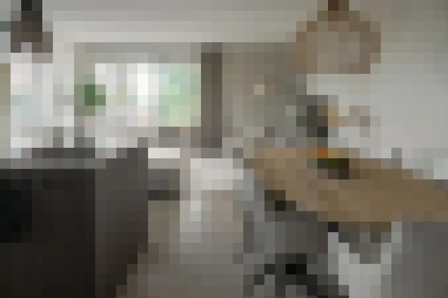 Stevenshoek 47 Langweer thumbnail 12
