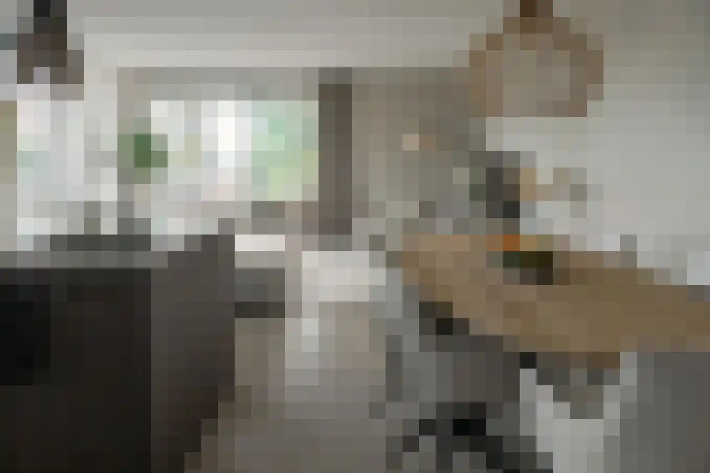 Stevenshoek 47 Langweer thumbnail 12