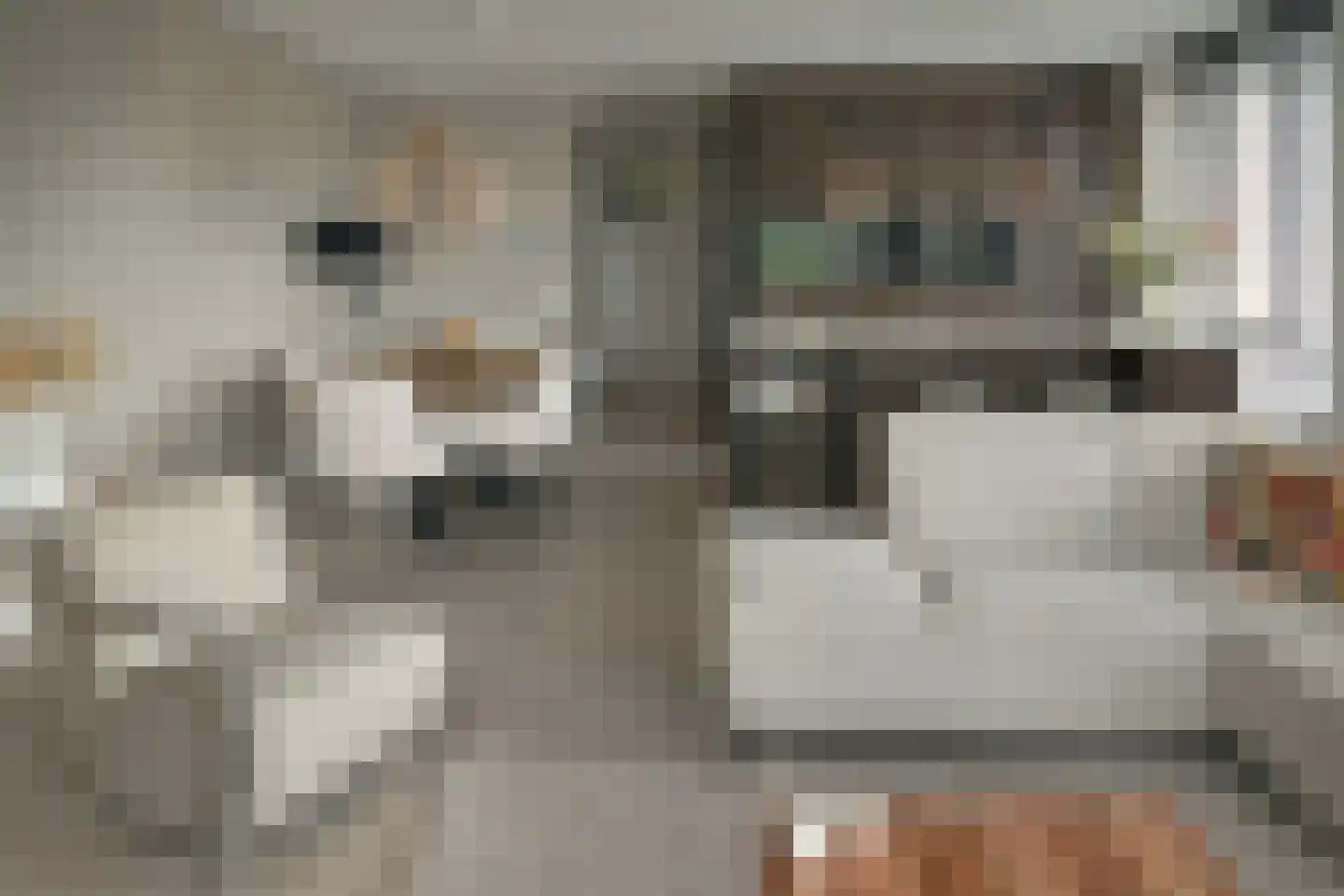 Stevenshoek 47 Langweer thumbnail 14